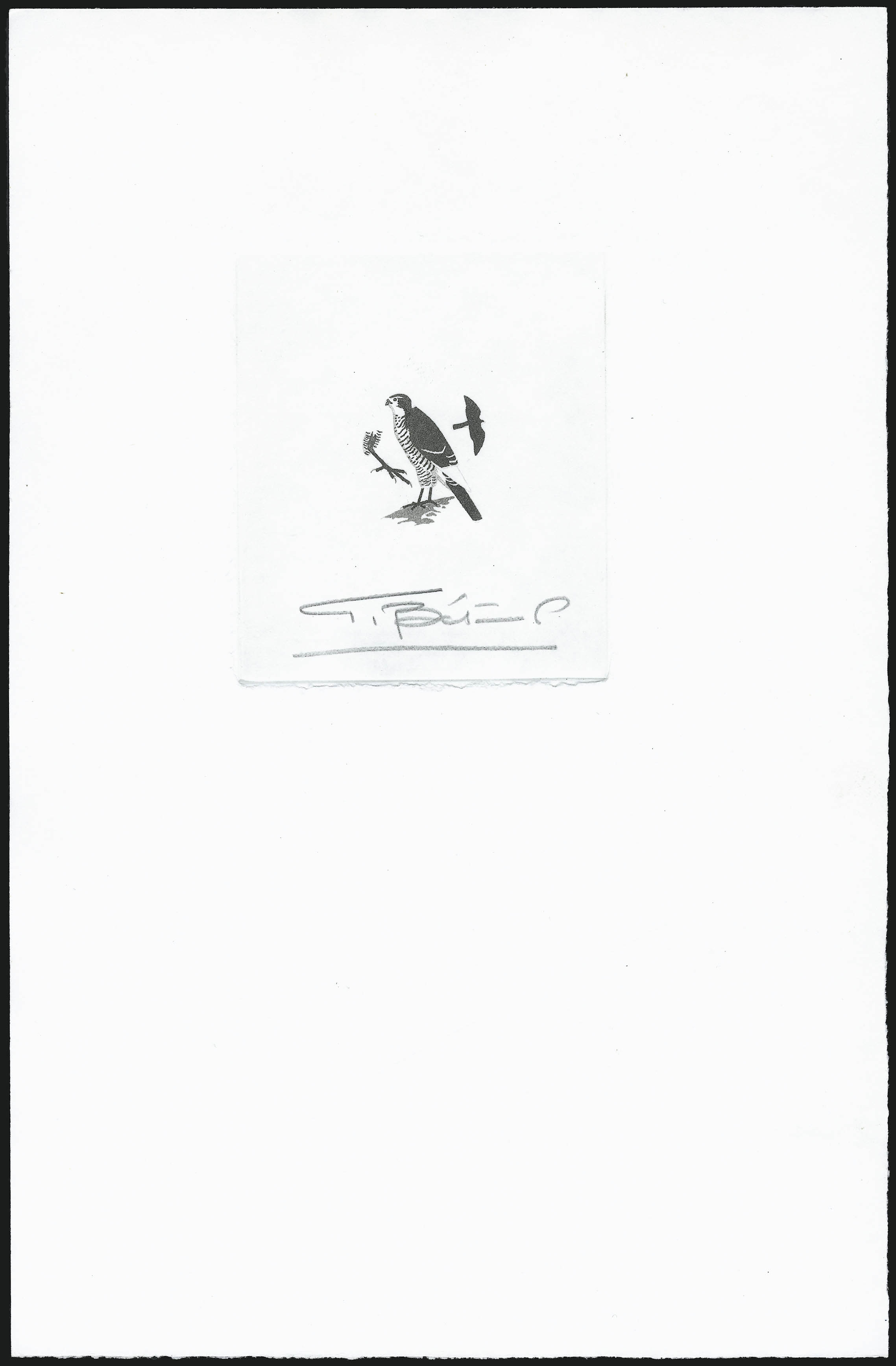 Sale no. 1076 — Lot no. 2124 — Siegel Auction Galleries