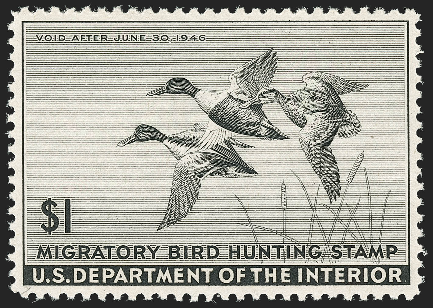 Sale no. 1192 — Lot no. 801 — Siegel Auction Galleries