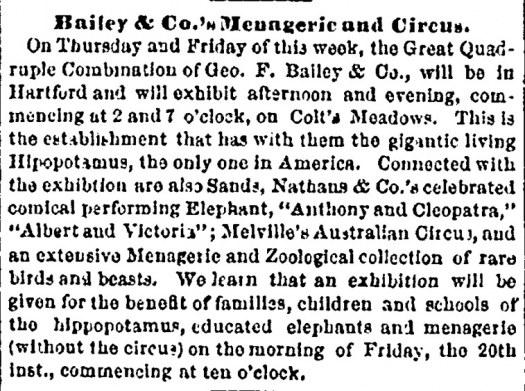 Hartford Daily Courant clipping about Bailey & Co&rsquo;s Menagerie and Circus
