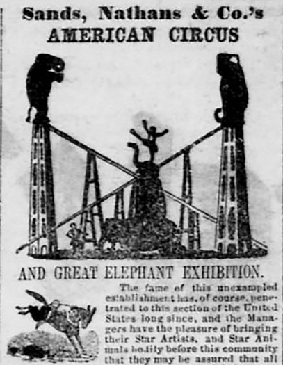 Newspaper clipping with illustration of performing elephants