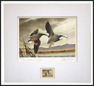 Sale 914, Lot 3149, Hunting Permits