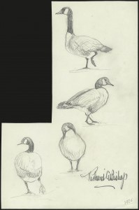 Sale 946, Lot 1654, Hunting Permits