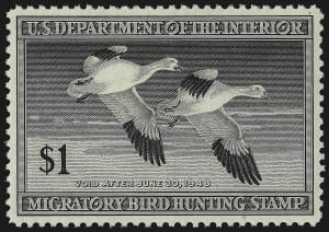 Sale 1061, Lot 4519, Motor Vehicle Tax thru Hunting Permits