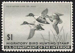 Sale 1192, Lot 801, Revenues