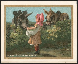 Sale 1212, Lot 470, Private Die Medicine Stamps: A thru C