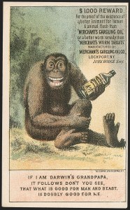 Sale 1212, Lot 533, Private Die Medicine Stamps: M thru R