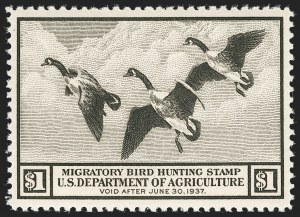 Sale 1235, Lot 1554, Eagle Carrier, Postal Stationery, Hunting Permits, Confederate States