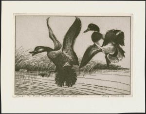 Sale 1258, Lot 3001, Duck Stamp Prints from Winning Artists, 1934-2021
