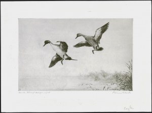 Sale 1258, Lot 3006, Duck Stamp Prints from Winning Artists, 1934-2021