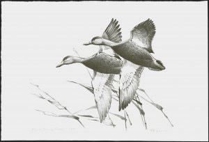 Sale 1258, Lot 3008, Duck Stamp Prints from Winning Artists, 1934-2021