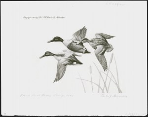 Sale 1258, Lot 3013, Duck Stamp Prints from Winning Artists, 1934-2021