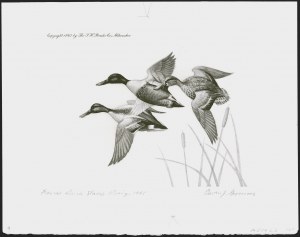 Sale 1258, Lot 3014, Duck Stamp Prints from Winning Artists, 1934-2021