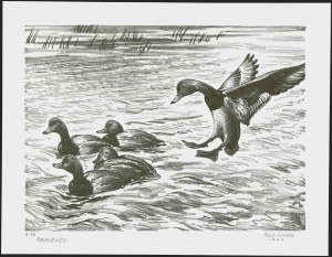 Sale 1258, Lot 3015, Duck Stamp Prints from Winning Artists, 1934-2021