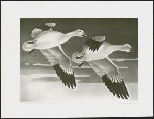 Sale 1258, Lot 3016, Duck Stamp Prints from Winning Artists, 1934-2021