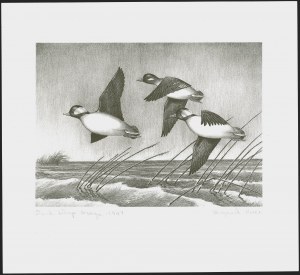 Sale 1258, Lot 3017, Duck Stamp Prints from Winning Artists, 1934-2021