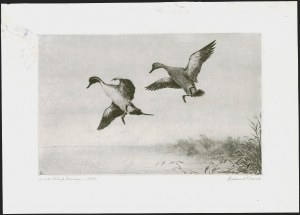 Sale 1258, Lot 3028, Duck Stamp Prints from Winning Artists, 1934-2021
